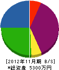 大野シンセティック 貸借対照表 2012年11月期
