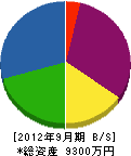 大島塗装店 貸借対照表 2012年9月期