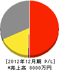 広瀬電気工事 損益計算書 2012年12月期