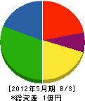 池田工務店 貸借対照表 2012年5月期