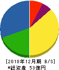 松本ガス 貸借対照表 2010年12月期