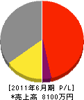 今井電工 損益計算書 2011年6月期