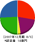 斉藤林業 貸借対照表 2007年12月期