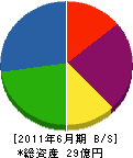 木村技研 貸借対照表 2011年6月期