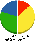 松沢電業 貸借対照表 2010年12月期