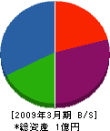 福井 貸借対照表 2009年3月期