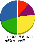 丸朋堀川建設 貸借対照表 2011年12月期