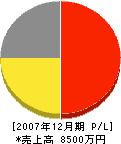 東京コート 損益計算書 2007年12月期