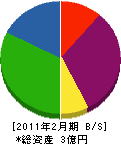 成島組 貸借対照表 2011年2月期