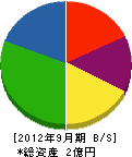 長野スーパー 貸借対照表 2012年9月期