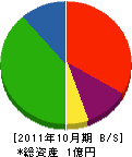中ペン塗装店 貸借対照表 2011年10月期