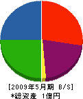 斉藤工業 貸借対照表 2009年5月期
