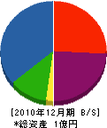青江建設 貸借対照表 2010年12月期