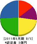 冨ヶ原組 貸借対照表 2011年6月期
