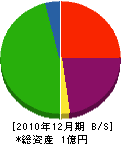 平成土木 貸借対照表 2010年12月期