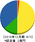 那賀川開発土木 貸借対照表 2010年12月期