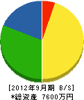 曽篠工務店 貸借対照表 2012年9月期