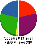 渋谷 貸借対照表 2008年6月期