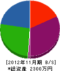 石川造園 貸借対照表 2012年11月期