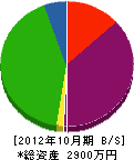 松本工務店 貸借対照表 2012年10月期