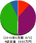 橋本設備 貸借対照表 2010年6月期