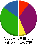 島田造園 貸借対照表 2009年12月期