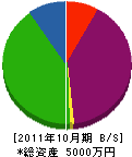 ミッション 貸借対照表 2011年10月期