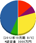 菅原建設 貸借対照表 2012年10月期