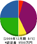 白石帆布縫製工業 貸借対照表 2009年12月期