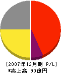 日本アルカテル・ルーセント 損益計算書 2007年12月期