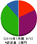 川俣組 貸借対照表 2010年1月期