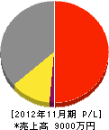 大川電気商会 損益計算書 2012年11月期