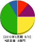坂井組 貸借対照表 2012年3月期