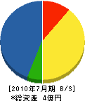 神戸電機工業 貸借対照表 2010年7月期