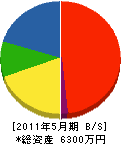 竹内ブロック建設 貸借対照表 2011年5月期
