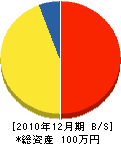 大塚工務店 貸借対照表 2010年12月期