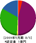 畠田電機 貸借対照表 2009年5月期