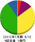 村井鉄工 貸借対照表 2012年7月期