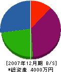 愛高鉄建 貸借対照表 2007年12月期
