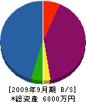 東冷工業 貸借対照表 2009年9月期