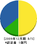 羽田組 貸借対照表 2009年12月期