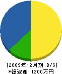 佐竹水道 貸借対照表 2009年12月期