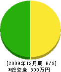 川田住建 貸借対照表 2009年12月期
