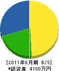 筒井土木 貸借対照表 2011年6月期