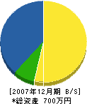 浦田工業 貸借対照表 2007年12月期