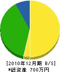 水田組 貸借対照表 2010年12月期