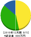 唐田板金 貸借対照表 2010年12月期