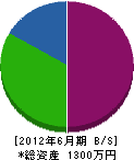 矢島電気商会 貸借対照表 2012年6月期