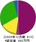 沼田工務店 貸借対照表 2009年12月期