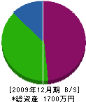 竹田組 貸借対照表 2009年12月期